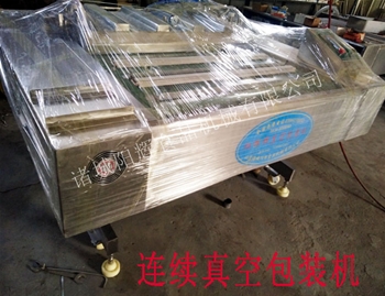 陜西連續(xù)真空包裝機