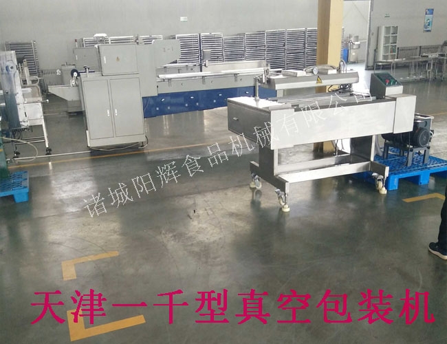 天津連續(xù)真空包裝機