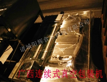 廣西連續(xù)式真空包裝機