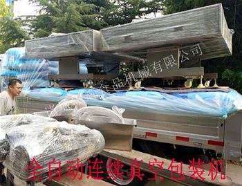 廣東全自動真空包裝機