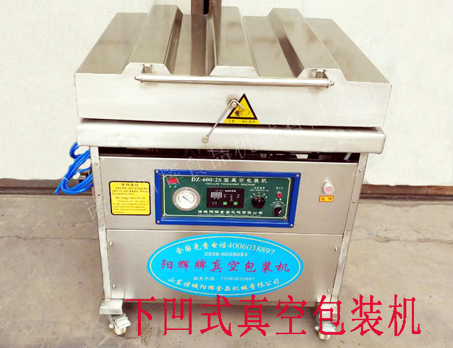 600立式真空充氣包裝機